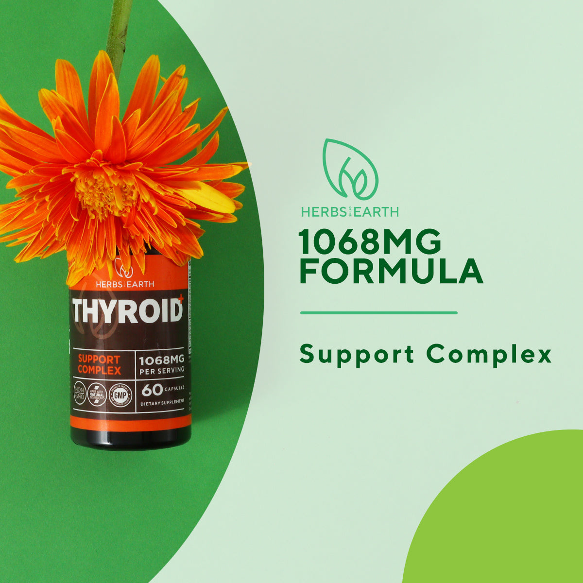 Thyroid + Support
