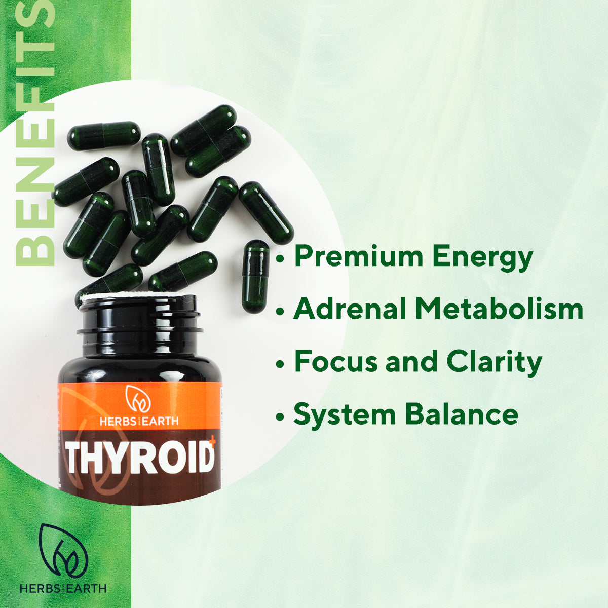 Thyroid + Support