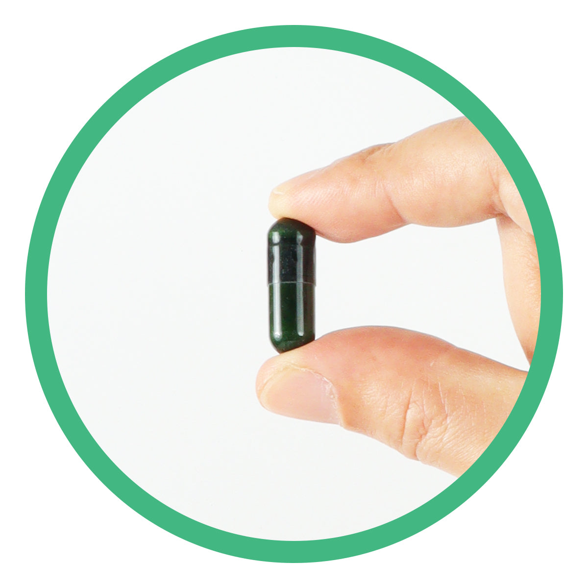 Thyroid + Support