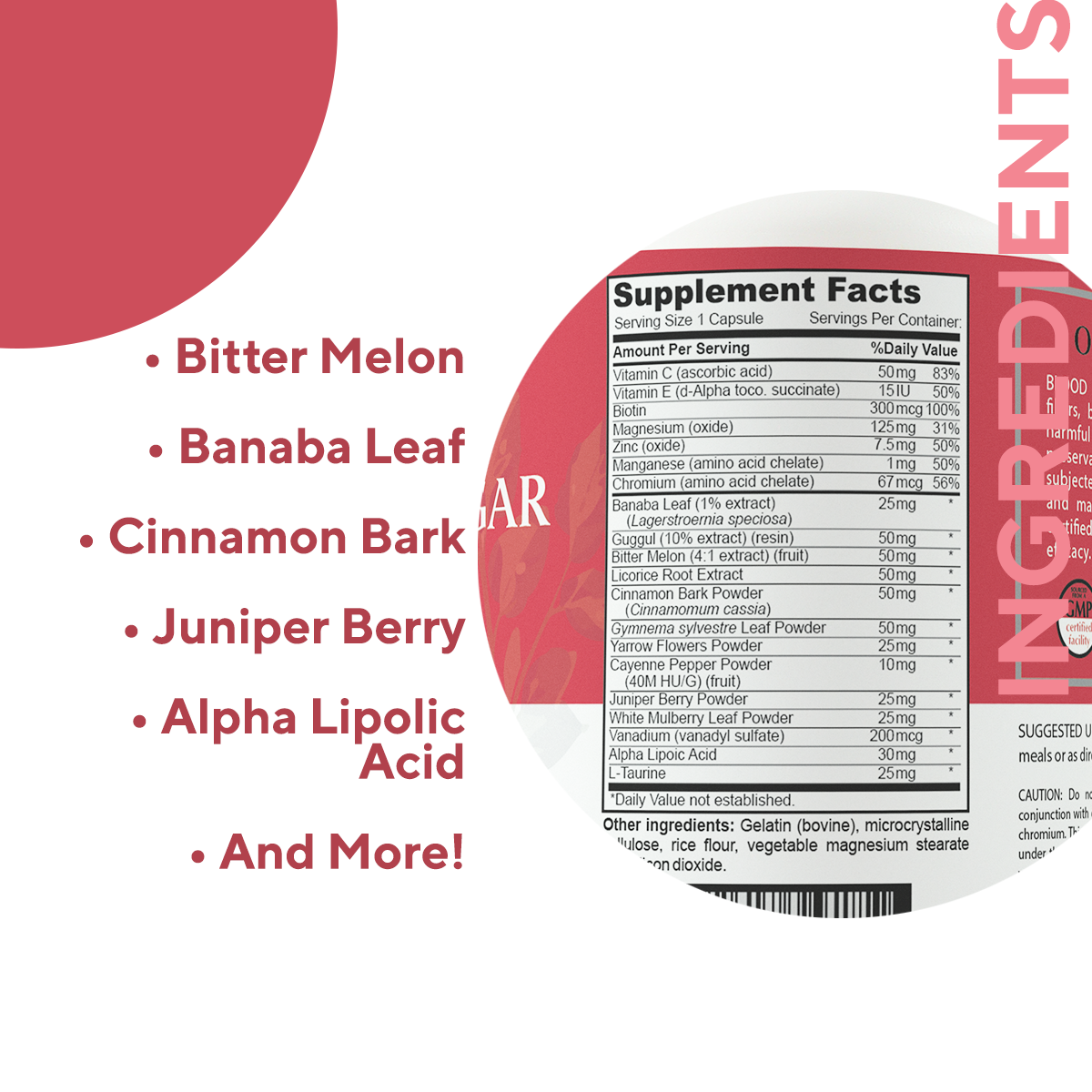 Wellness+ Blood Sugar Support