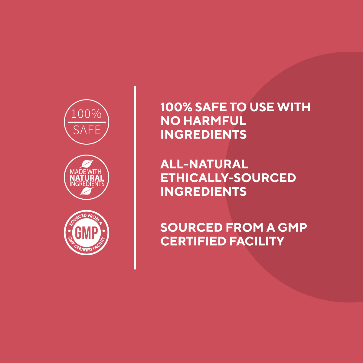 Wellness+ Blood Sugar Support
