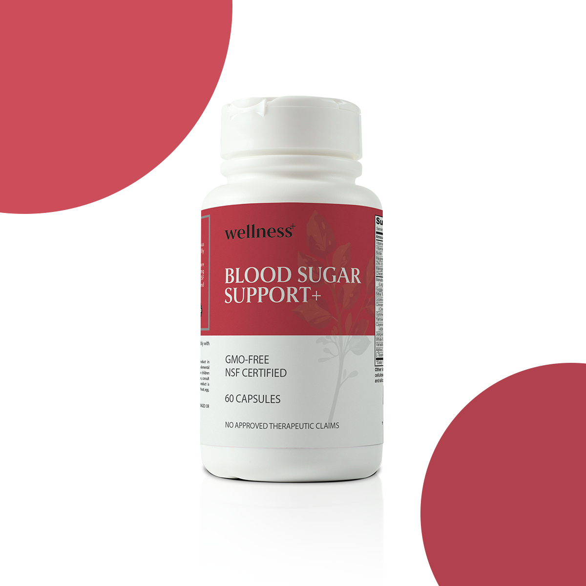 Wellness+ Blood Sugar Support