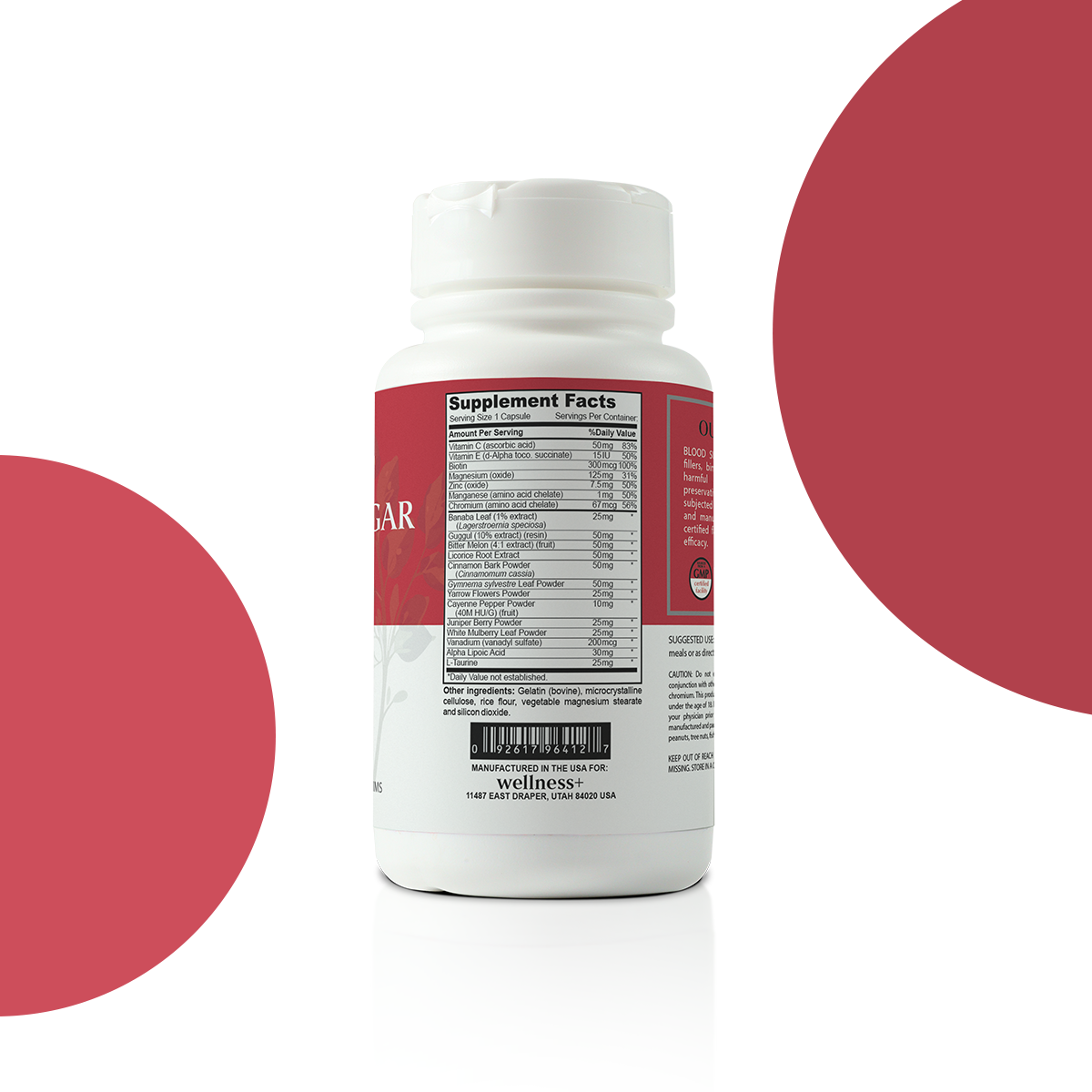 Wellness+ Blood Sugar Support