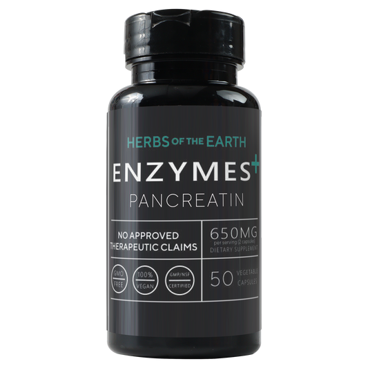 Enzymes+ Premium Digestive Care