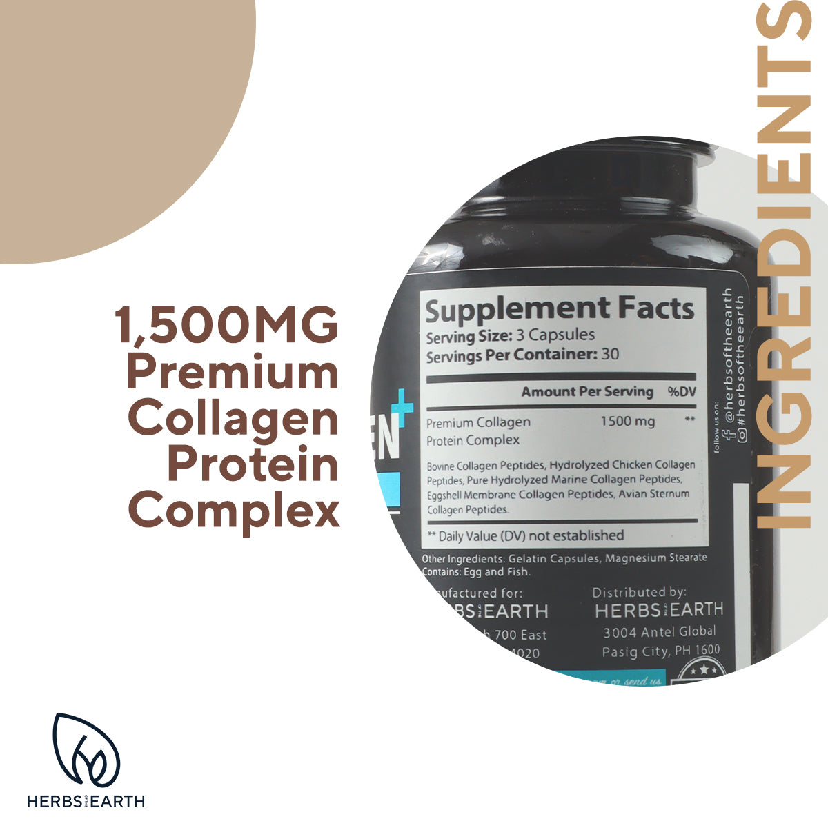 DADTASTIC COMPLETE IMMUNE SUPPORT: Complete Men + Collagen Type I,II,III,V,&,X