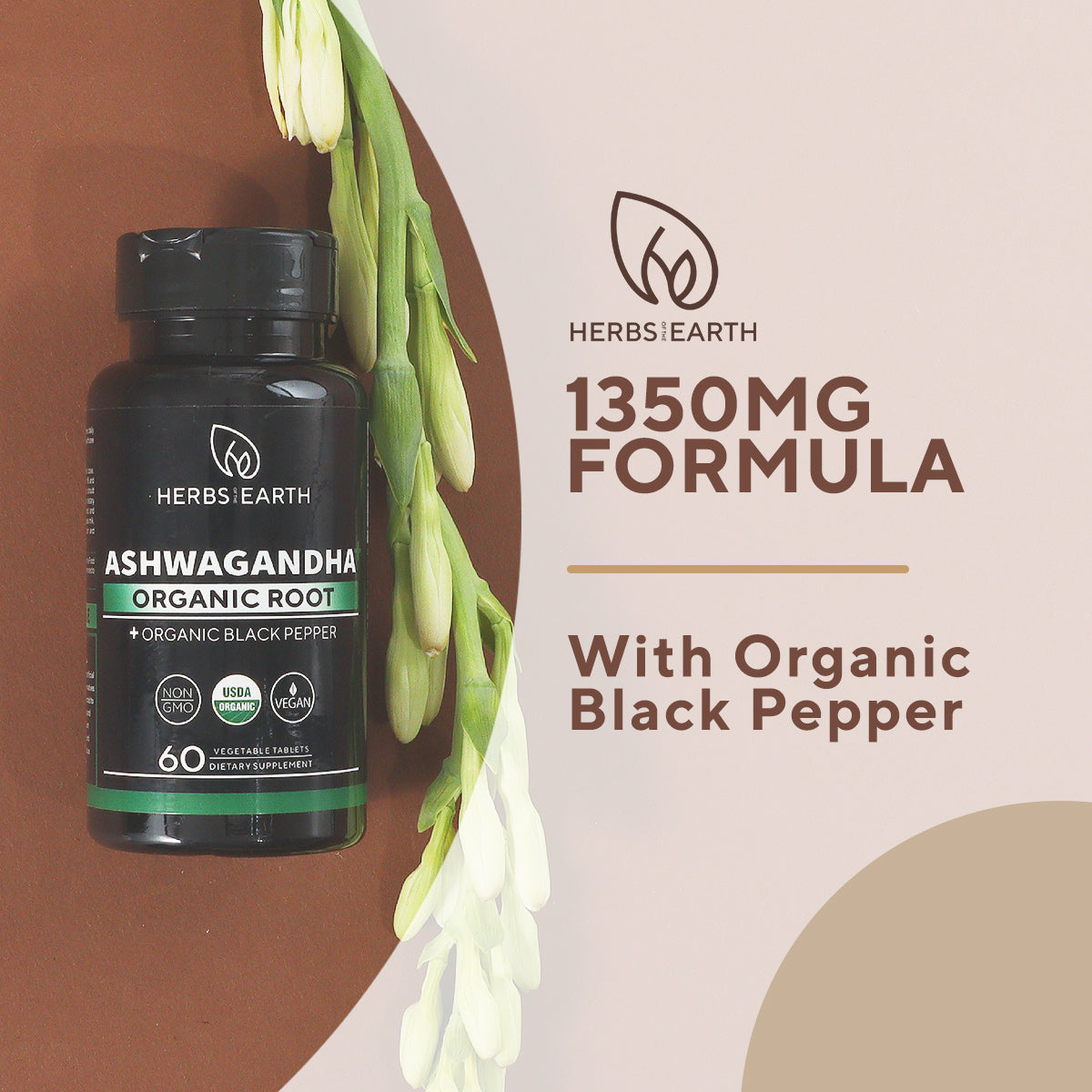 DADTASTIC COMPLETE BRAIN BOOST SUPPORT: Complete Men+Ashwagandha