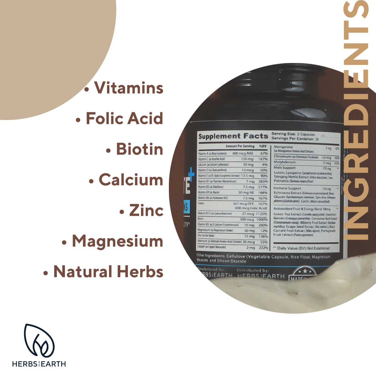 DADTASTIC COMPLETE BRAIN BOOST SUPPORT: Complete Men+Ashwagandha