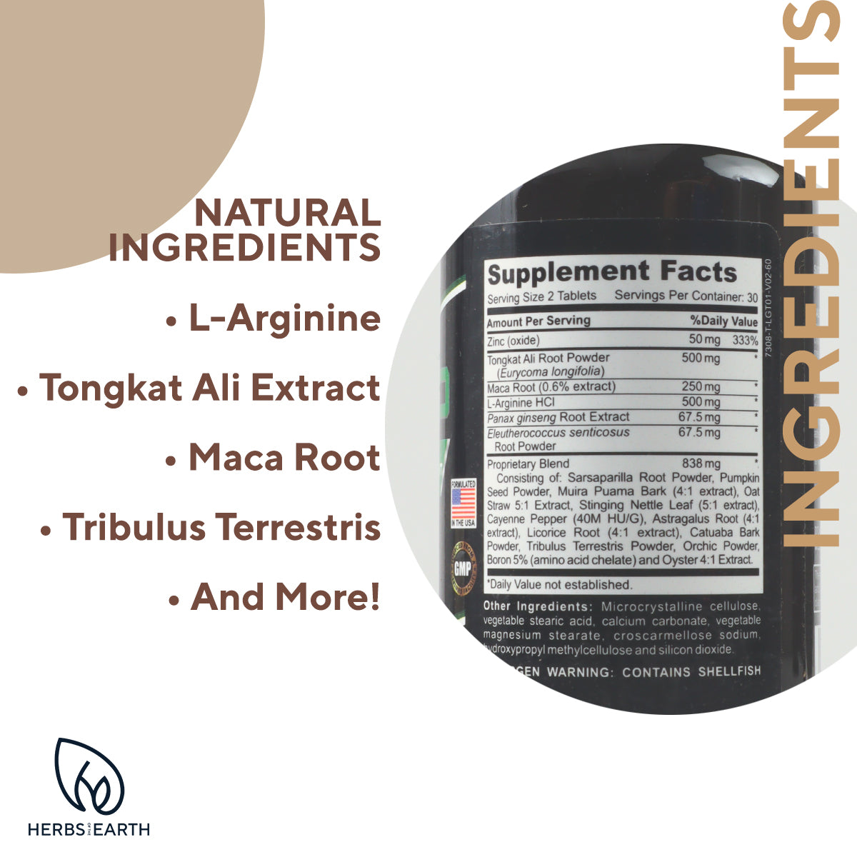 DADTASTIC COMPLETE PERFORMANCE SUPPORT: Complete Men + Xtend