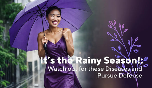 It’s the Rainy Season! Watch out for these Diseases and Pursue Defense