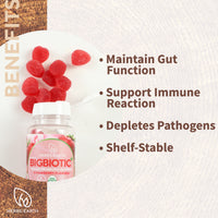 BIGBIOTIC+ Probiotic Gummies