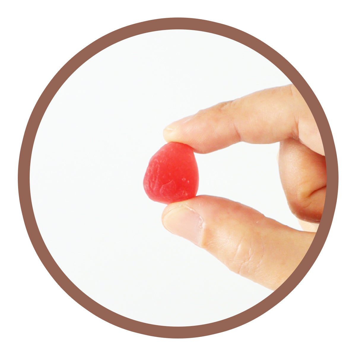 BIGBIOTIC+ Probiotic Gummies