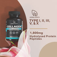 Collagen Type I,II,III,V+ 90s