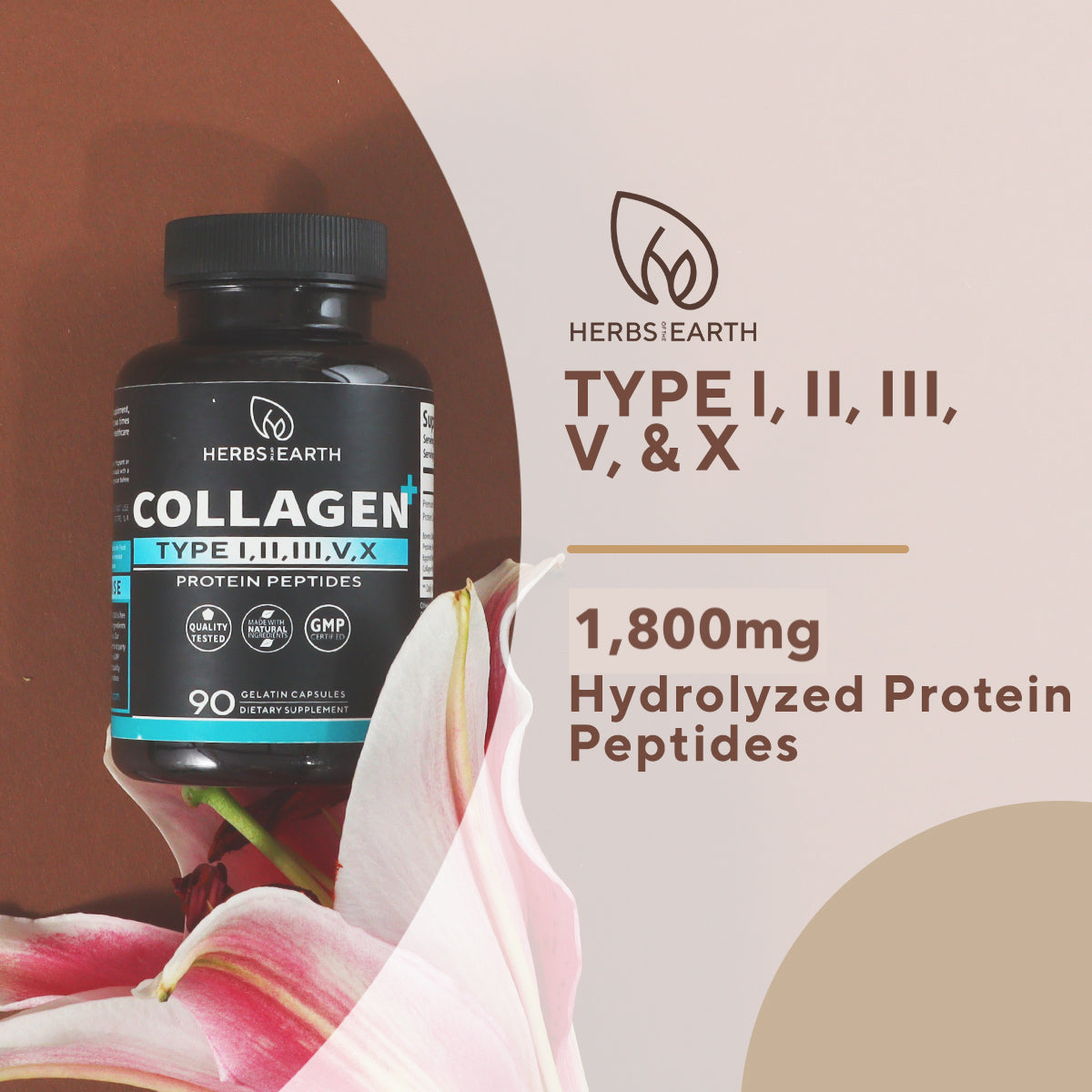 Collagen Type I,II,III,V+ 90s