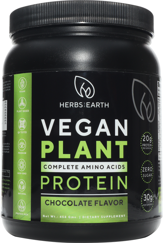 Vegan Plant Based Protein Powder Vanilla