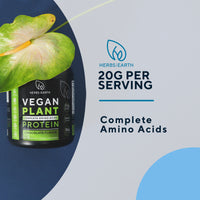 Vegan Plant Based Protein Powder Chocolate