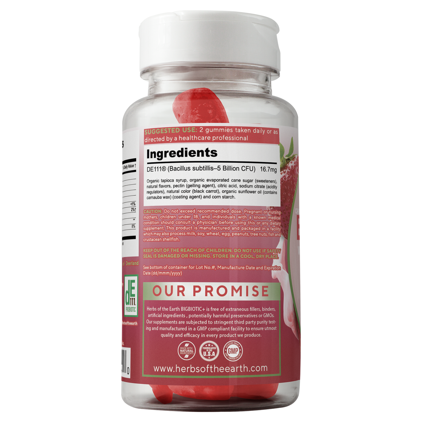 BIGBIOTIC+ Probiotic Gummies