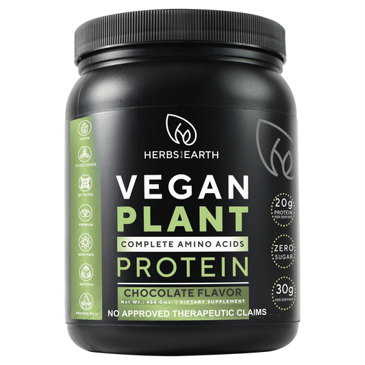 Vegan Plant Based Protein Powder Chocolate