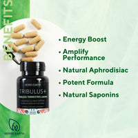 Tribulus+