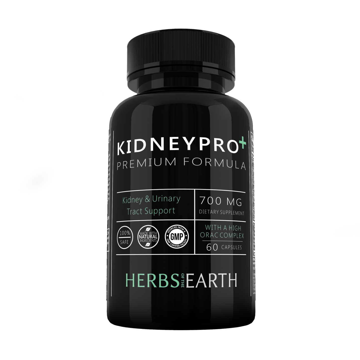 Kidney Care Gift Pack KIDNEY PRO and ENZYMES