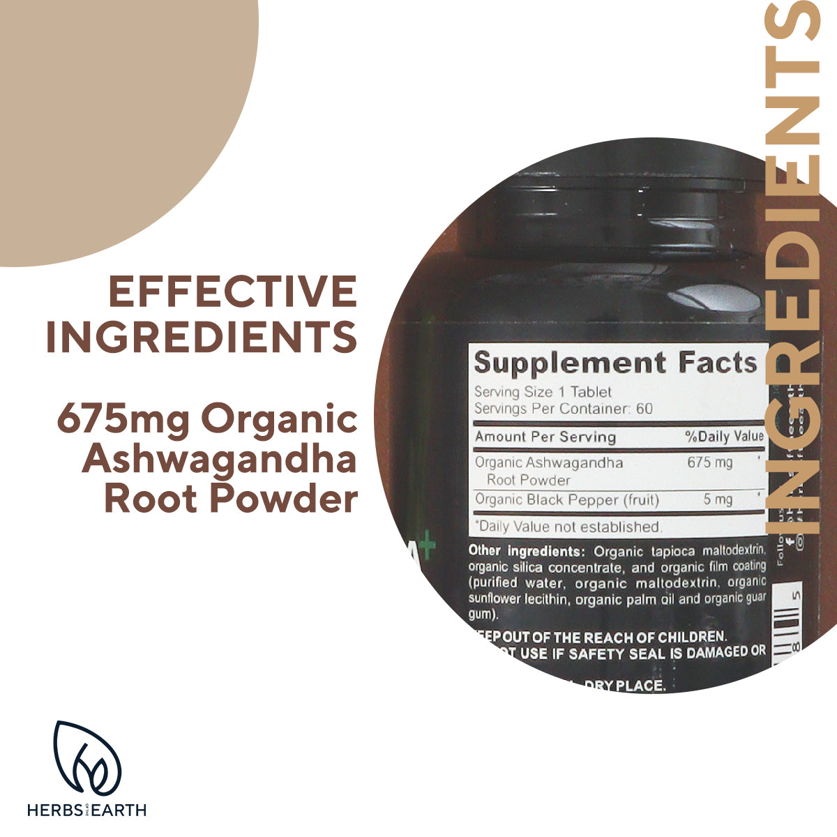 DADTASTIC COMPLETE BRAIN BOOST SUPPORT: Complete Men+Ashwagandha