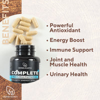 DADTASTIC COMPLETE BRAIN BOOST SUPPORT: Complete Men+Ashwagandha
